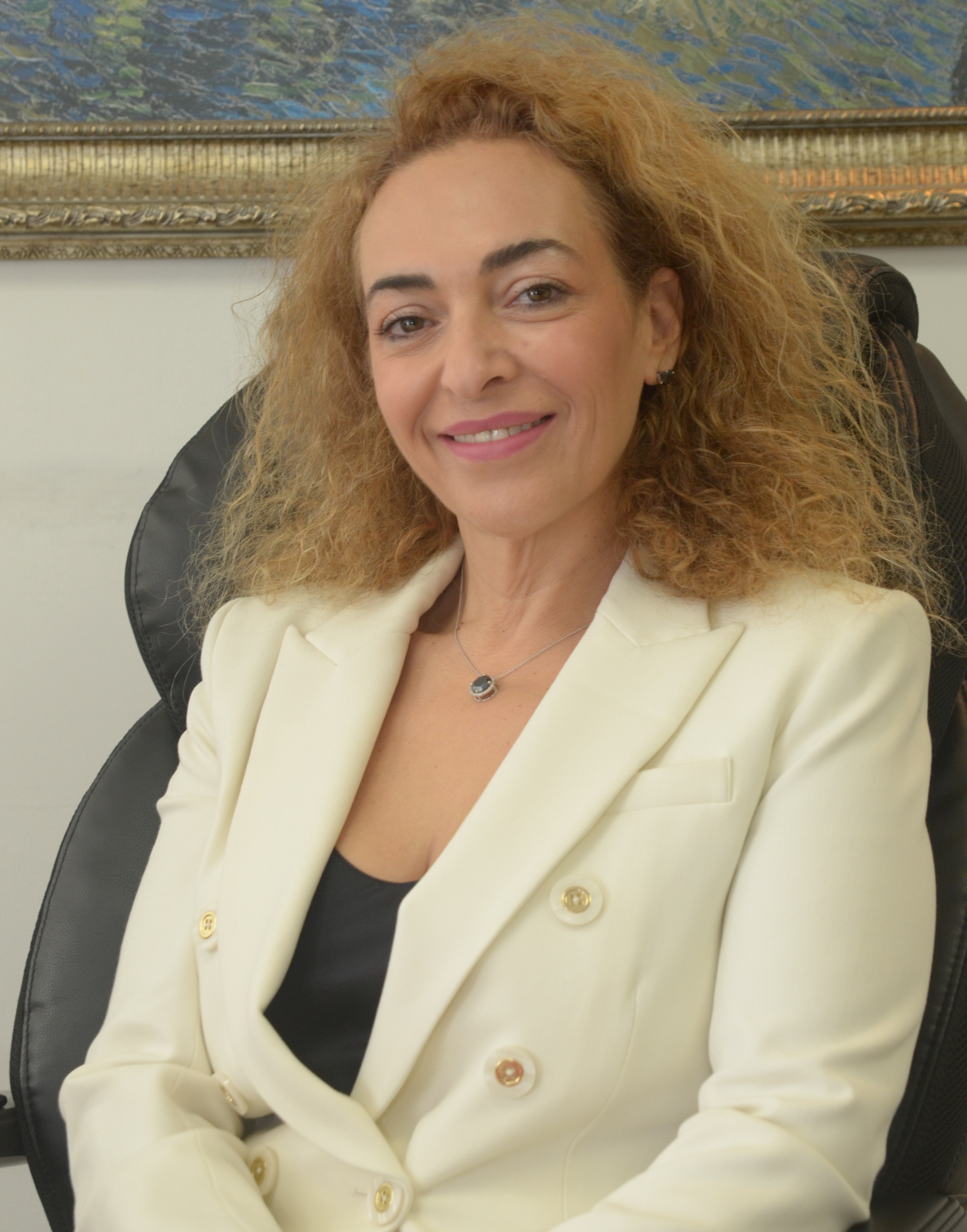 מירב לוי - משרד עורכי דין
